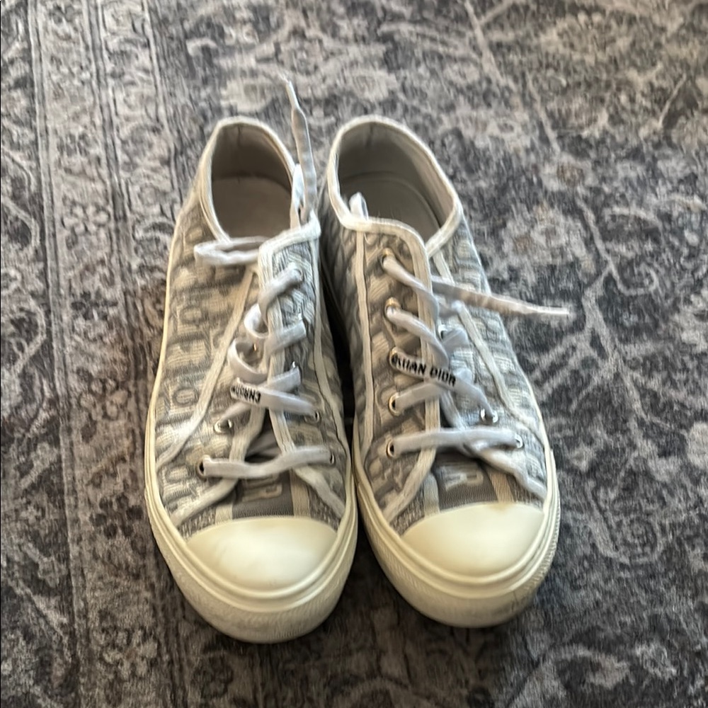 Dior Gray & White Low-Top Canvas Sneakers